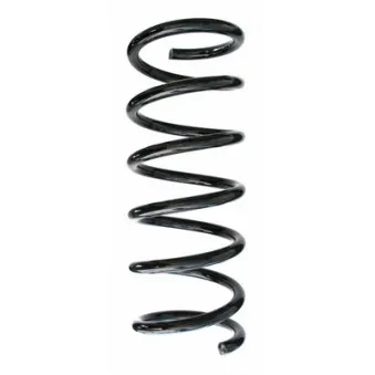 Ressort de suspension SPIDAN 87565