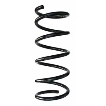 Ressort de suspension SPIDAN 87570