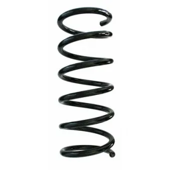 Ressort de suspension SPIDAN 87571