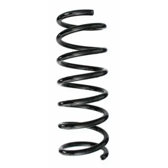 Ressort de suspension SPIDAN 87572