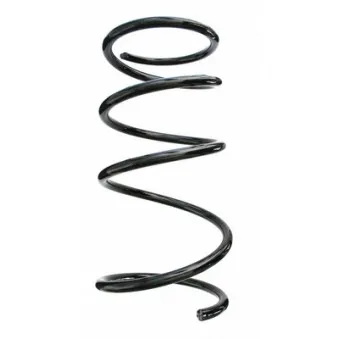 Ressort de suspension SPIDAN 87575