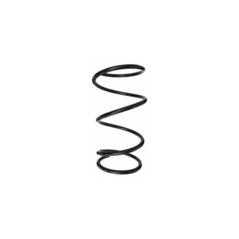Ressort de suspension SPIDAN 87576