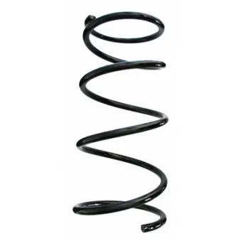 Ressort de suspension SPIDAN 87580