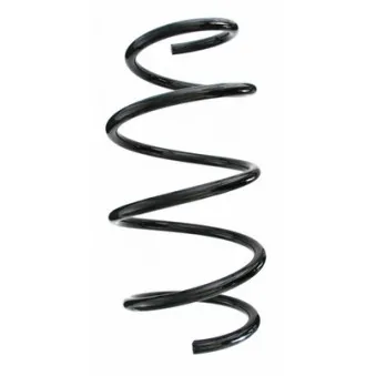 Ressort de suspension SPIDAN 87582