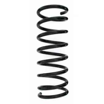 Ressort de suspension SPIDAN 87599