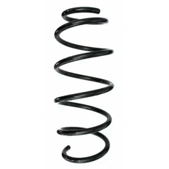 Ressort de suspension SPIDAN 87604