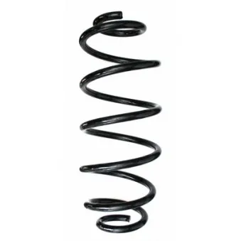 Ressort de suspension SPIDAN 87608