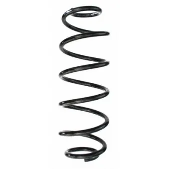Ressort de suspension SPIDAN 87609