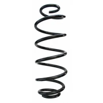 Ressort de suspension SPIDAN 87610