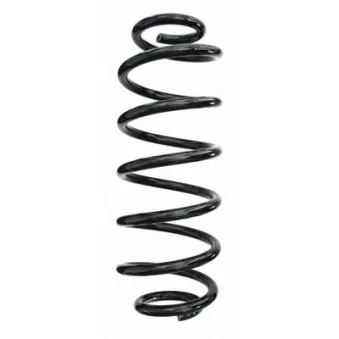 Ressort de suspension SPIDAN 87613