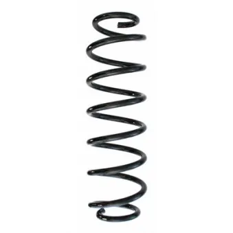 Ressort de suspension SPIDAN 87616