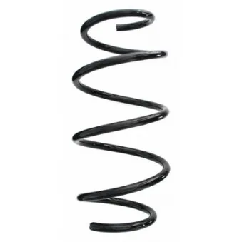 Ressort de suspension SPIDAN 87618