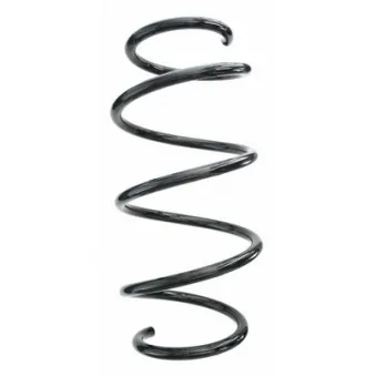 Ressort de suspension SPIDAN 87619