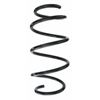 Ressort de suspension SPIDAN 87620