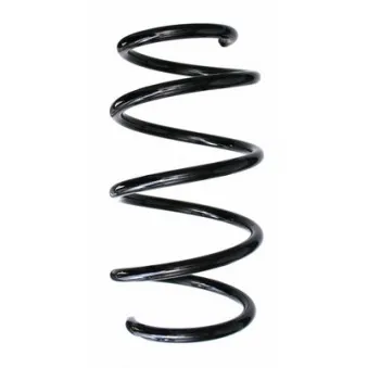 Ressort de suspension SPIDAN 87634