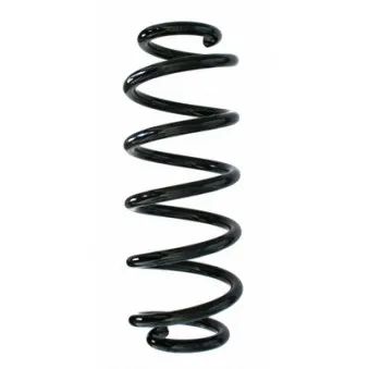 Ressort de suspension SPIDAN 87641