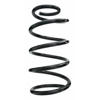 Ressort de suspension SPIDAN 87645