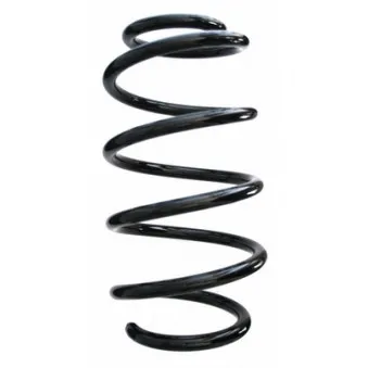 Ressort de suspension SPIDAN 87648