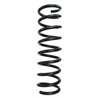 Ressort de suspension SPIDAN 87652