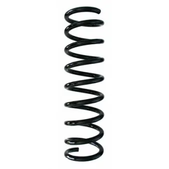 Ressort de suspension SPIDAN 87653