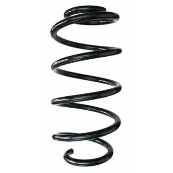 Ressort de suspension SPIDAN 87655