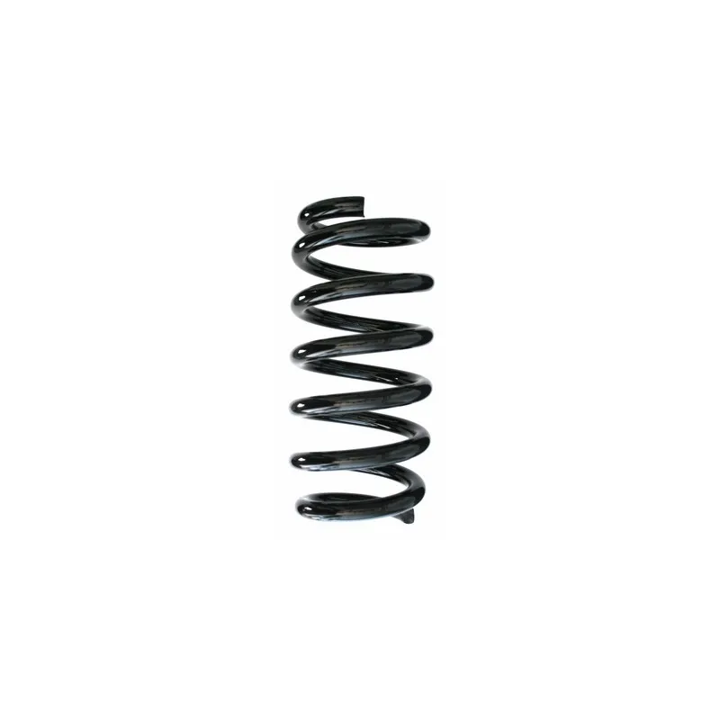 Ressort de suspension SPIDAN 87659