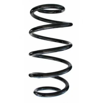 Ressort de suspension SPIDAN 87660