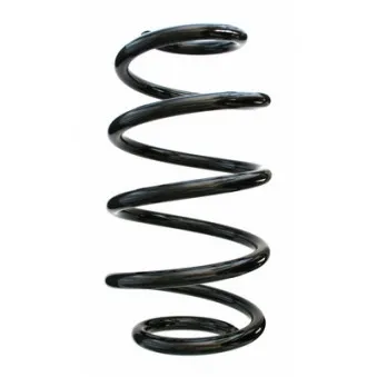Ressort de suspension SPIDAN 87662