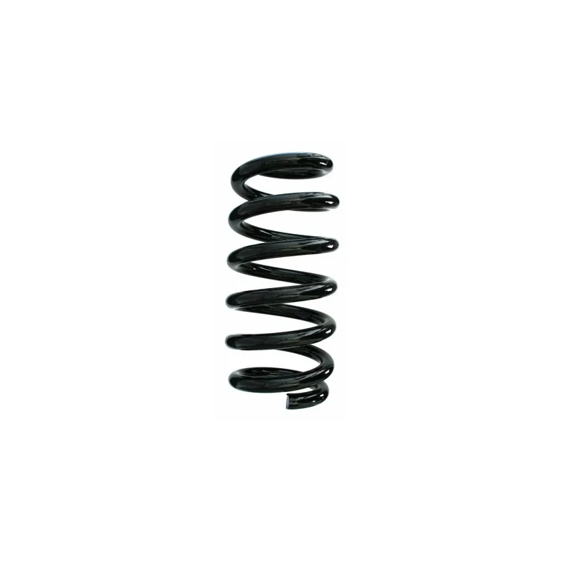 Ressort de suspension SPIDAN 87663