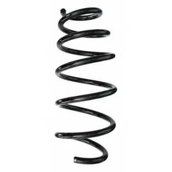 Ressort de suspension SPIDAN 87668