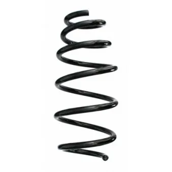Ressort de suspension SPIDAN 87671