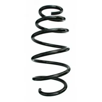 Ressort de suspension SPIDAN 87672