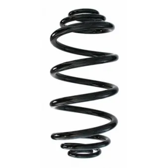 Ressort de suspension SPIDAN 87673