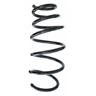 Ressort de suspension SPIDAN 87679
