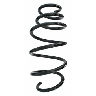 Ressort de suspension SPIDAN 87684