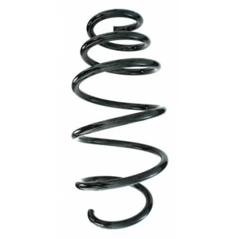 Ressort de suspension SPIDAN 87685