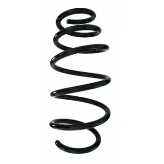 Ressort de suspension SPIDAN 87686