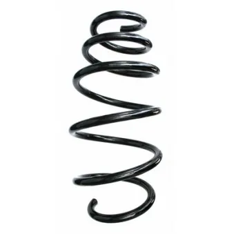 Ressort de suspension SPIDAN 87689