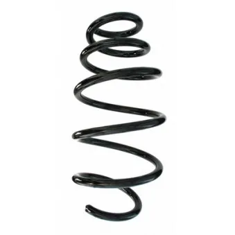Ressort de suspension SPIDAN 87690