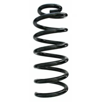 Ressort de suspension SPIDAN 87691