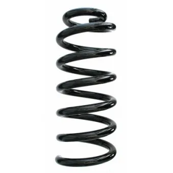 Ressort de suspension SPIDAN 87695