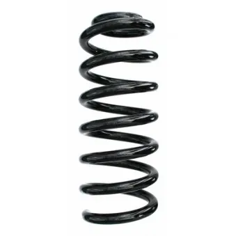 Ressort de suspension SPIDAN 87697