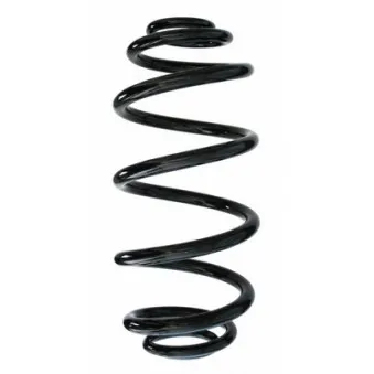 Ressort de suspension SPIDAN 87699
