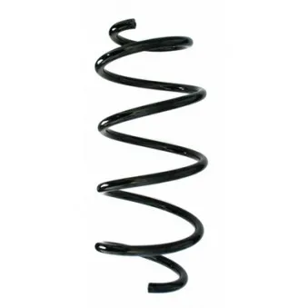 Ressort de suspension SPIDAN 87700