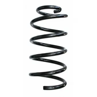 Ressort de suspension SPIDAN 87711