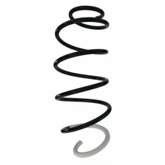 Ressort de suspension SPIDAN 87713