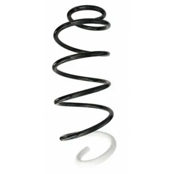 Ressort de suspension SPIDAN 87717