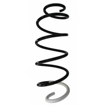 Ressort de suspension SPIDAN 87718