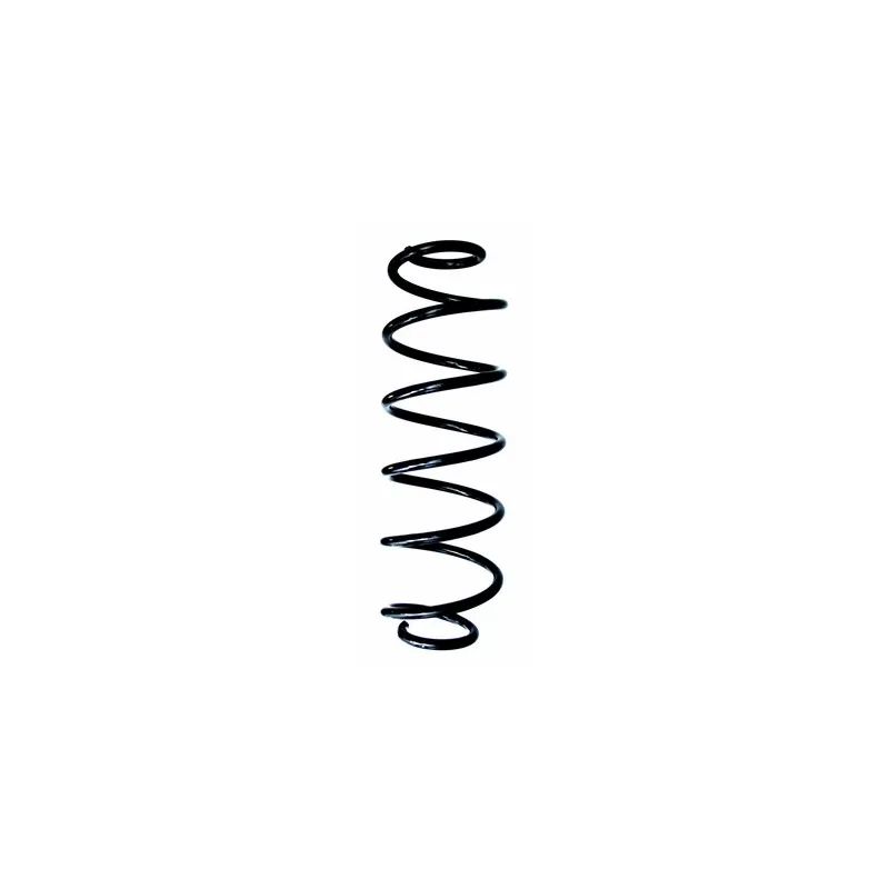 Ressort de suspension SPIDAN 87720