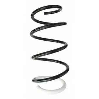 Ressort de suspension SPIDAN 87723